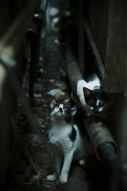 kaiyun开云·官方网站-压迫体系主导上半场攻势，什么叫压迫  第1张