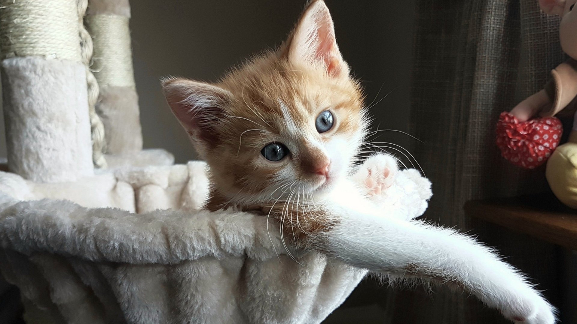 kaiyun官方网站-国家队技战术水平停滞不前,国家队战术后仰 第2张 kaiyun官方网站-国家队技战术水平停滞不前,国家队战术后仰 第2张