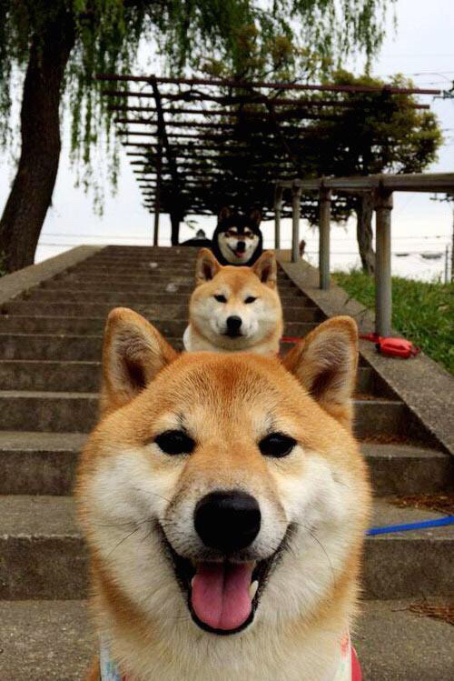 开云·体育官网APP下载-德国队分析:国际乒联混合团体世界杯赛制与赛事前瞻,德国乒乓球职业联赛 第2张 开云·体育官网APP下载-德国队分析:国际乒联混合团体世界杯赛制与赛事前瞻,德国乒乓球职业联赛 第2张