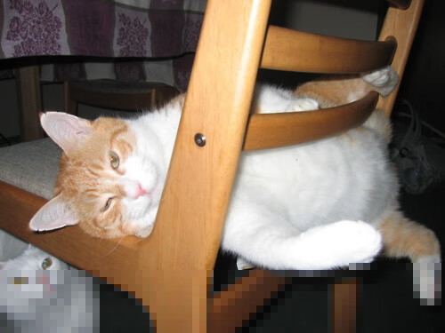 开云官网-比赛内容解说训练成为高校选修方向 第1张 开云官网-比赛内容解说训练成为高校选修方向 第1张