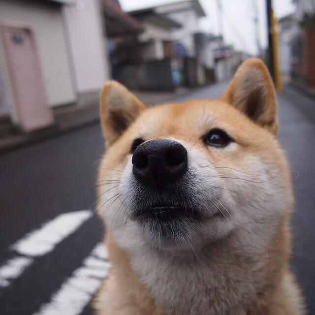 kaiyun中国官方网站-出发与转身技术动作数据深度研究,出发的动作 第2张 kaiyun中国官方网站-出发与转身技术动作数据深度研究,出发的动作 第2张