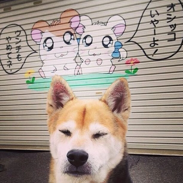 kaiyun官方网站-塞尔维亚女篮在欧洲锦标赛中表现亮眼,争夺金牌目标,塞尔维亚女篮咋样 第2张 kaiyun官方网站-塞尔维亚女篮在欧洲锦标赛中表现亮眼,争夺金牌目标,塞尔维亚女篮咋样 第2张