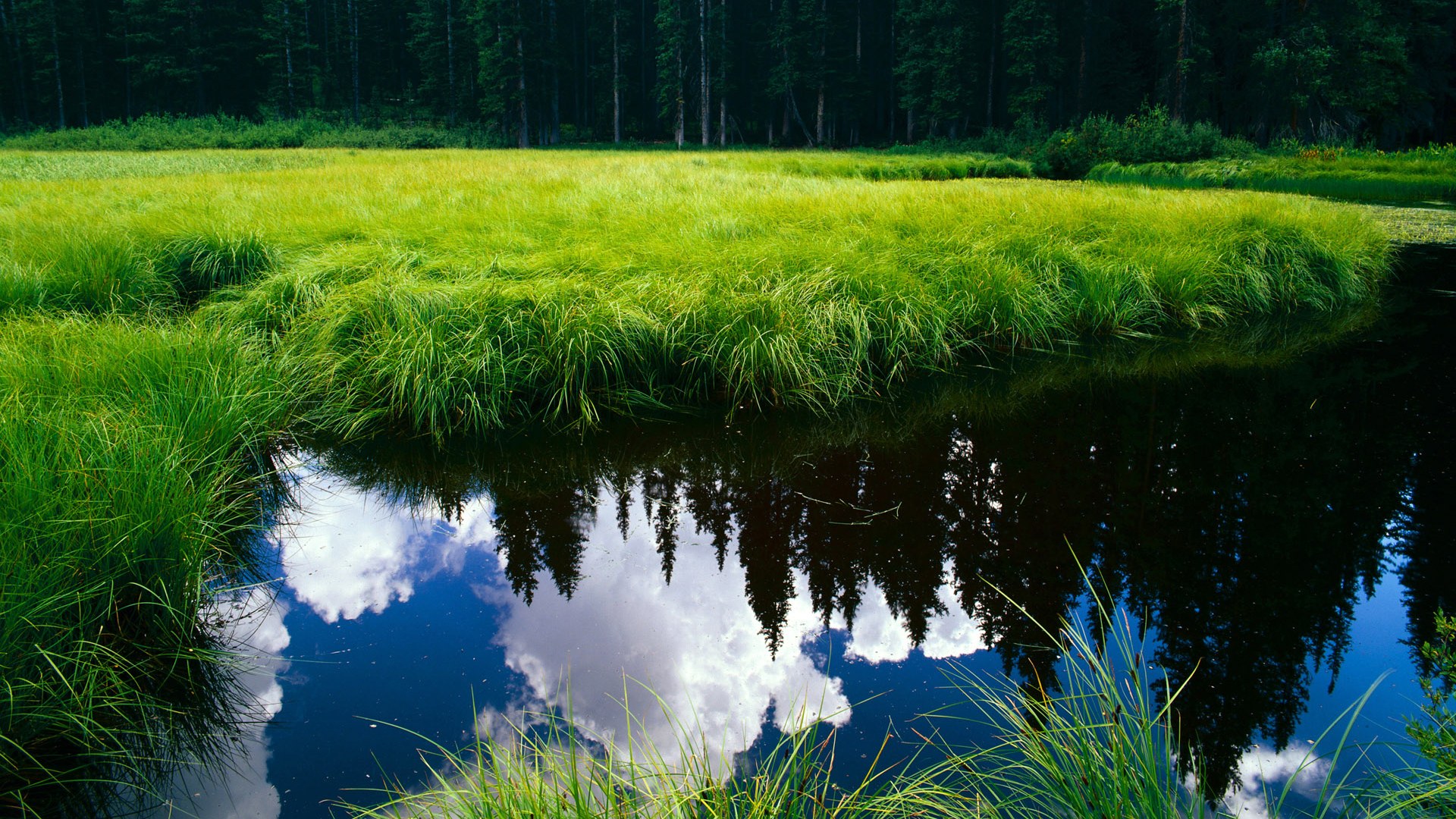 开云kaiyun-德甲策略多变:攻防节奏快,精彩不断,德甲德甲 第1张 开云kaiyun-德甲策略多变:攻防节奏快,精彩不断,德甲德甲 第1张