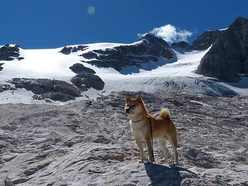 开云体育-意甲场场焦点:技战结合,是激情的最佳注脚,意甲 球场 第2张 开云体育-意甲场场焦点:技战结合,是激情的最佳注脚,意甲 球场 第2张