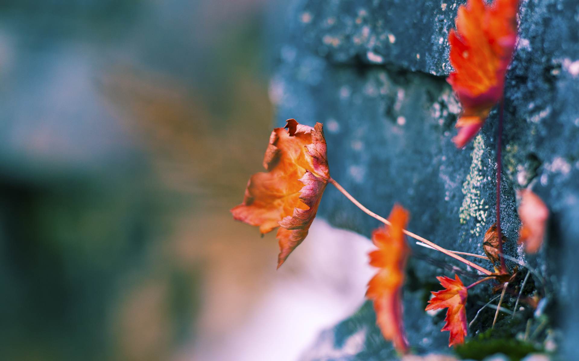 开云体育-科特迪瓦男篮在非洲锦标赛中持续升温,迈向更高目标,科特迪瓦男足 第1张 开云体育-科特迪瓦男篮在非洲锦标赛中持续升温,迈向更高目标,科特迪瓦男足 第1张