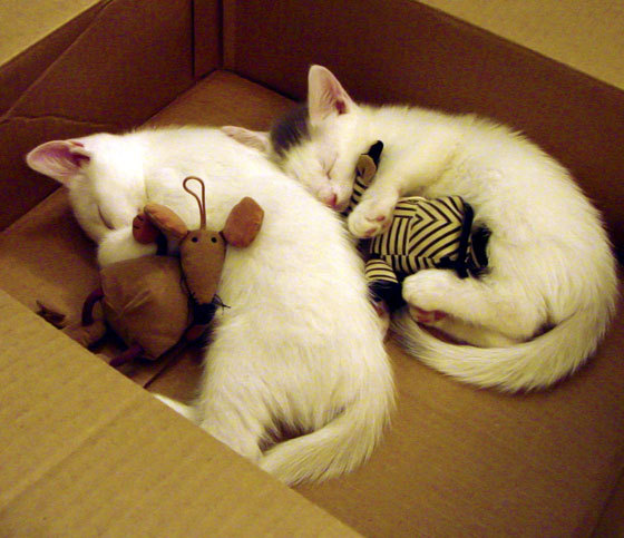 kaiyun官方网站-老鹰后卫突破效率提升连得关键六分,老鹰的后卫是谁 第2张 kaiyun官方网站-老鹰后卫突破效率提升连得关键六分,老鹰的后卫是谁 第2张