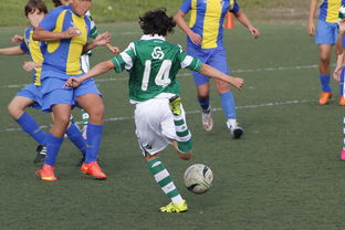 开云中国大陆-自由泳短距离中立代表队A选手冲进四强,自由泳中国队 第2张 开云中国大陆-自由泳短距离中立代表队A选手冲进四强,自由泳中国队 第2张