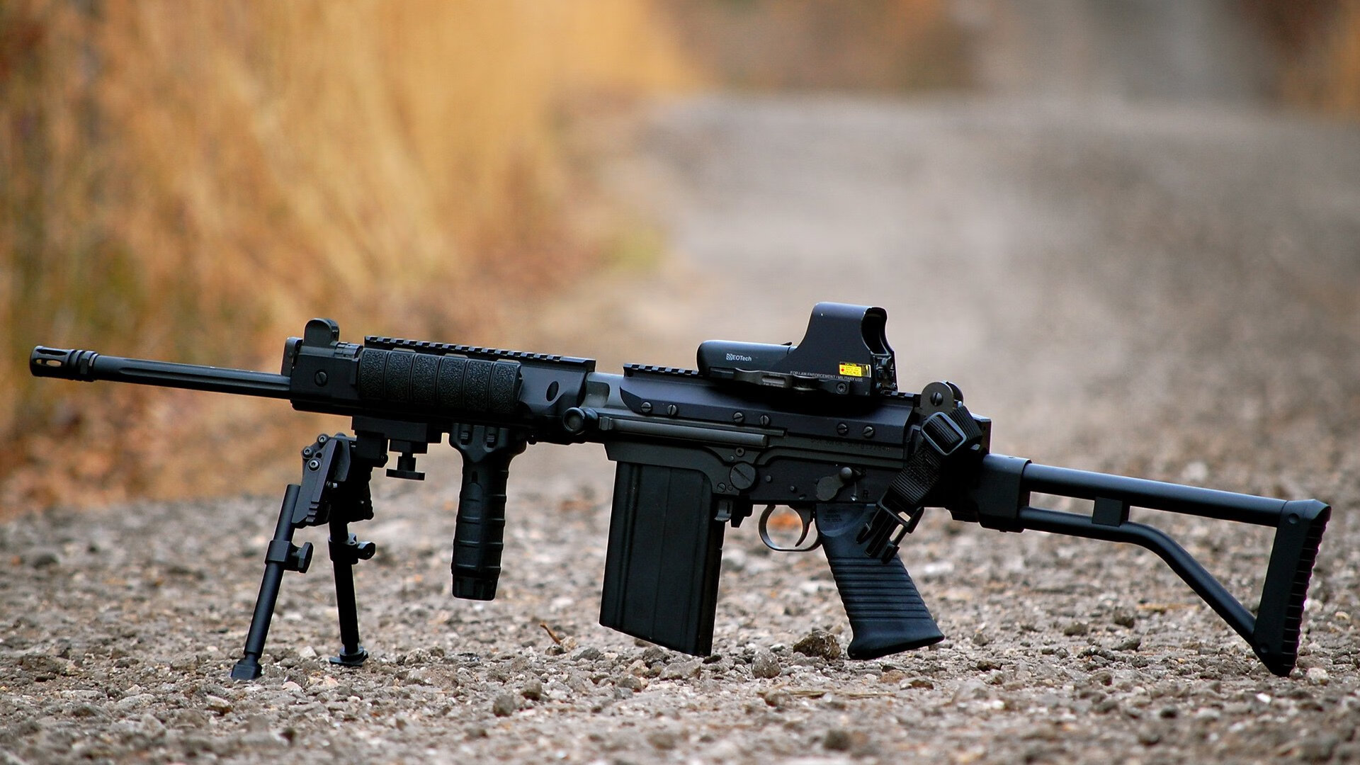 开云网页版-蝶泳项目摩纳哥新秀崭露头角，摩纳哥泳池  第1张