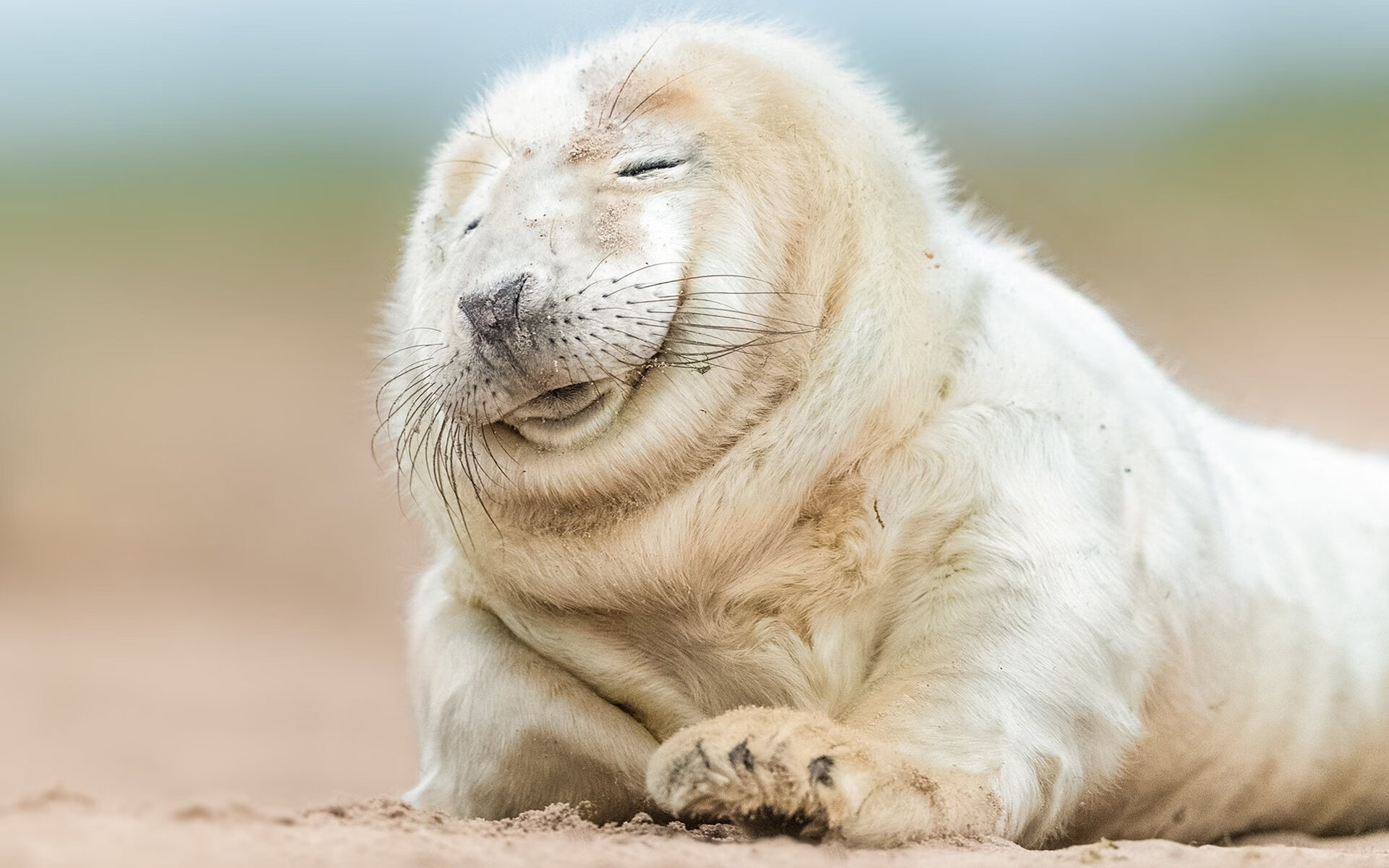 开云入口-詹姆斯三双数据再次引发热议,詹姆斯 三双 第1张 开云入口-詹姆斯三双数据再次引发热议,詹姆斯 三双 第1张